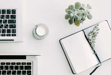 米兰体育官网：官方视角下的热血与信任